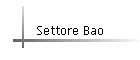 Settore Bao