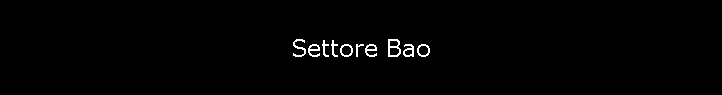 Settore Bao